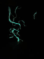 CUBZ's Workshop 'A Blank Canvas'