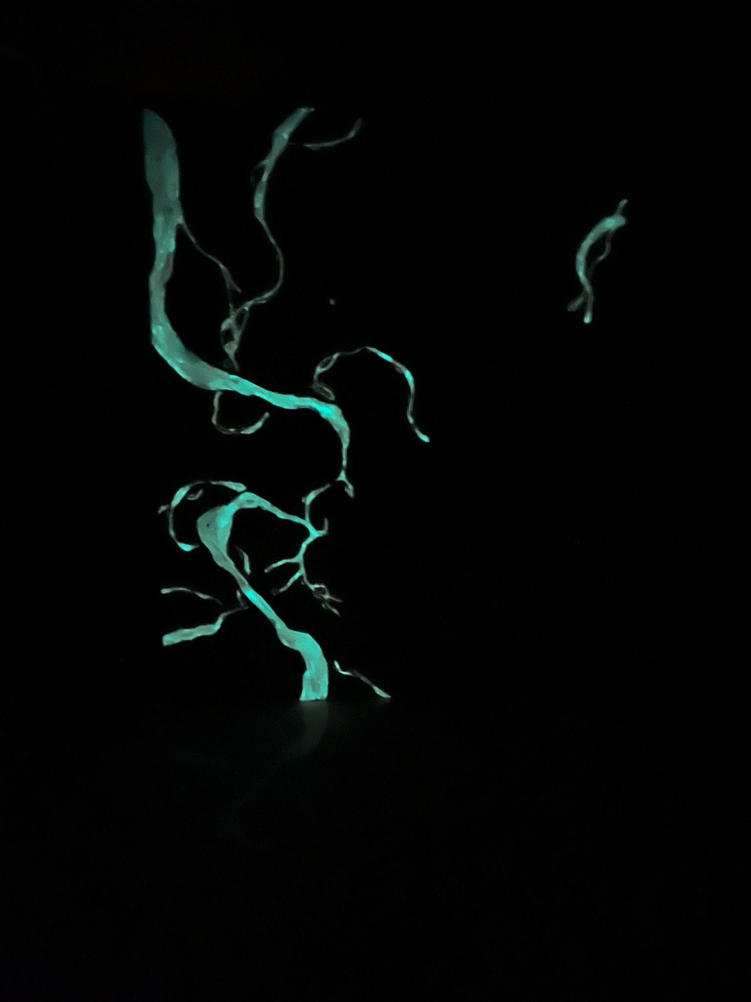 CUBZ's Workshop 'A Blank Canvas'