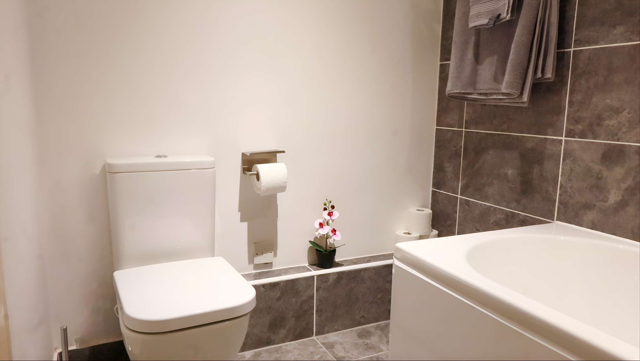 River Side 3 Bed 2 Bath Apartments- Free Parking